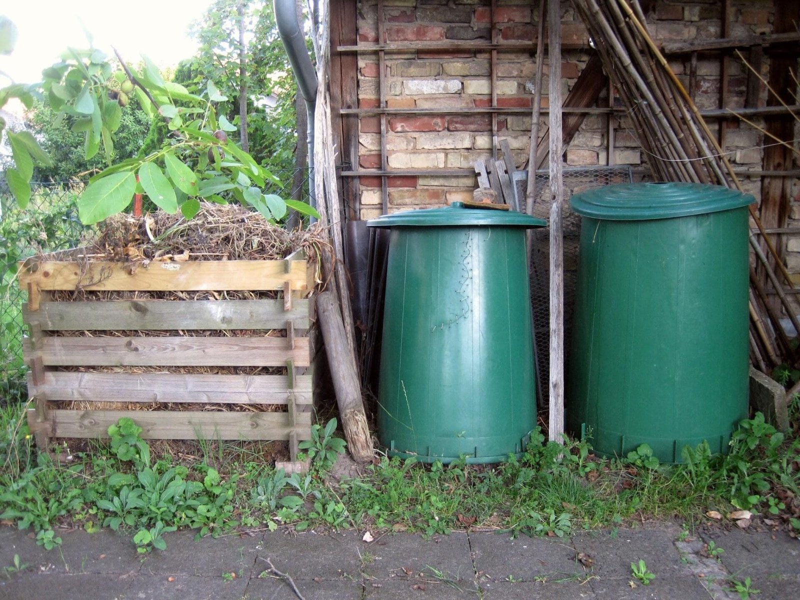 bioaqualife: A garden corner with a wooden compost bin filled with straw and organic matter next to two green plastic compost bins. The area is surrounded by lush greenery and a brick wall, with some bamboo sticks leaning against the wall.